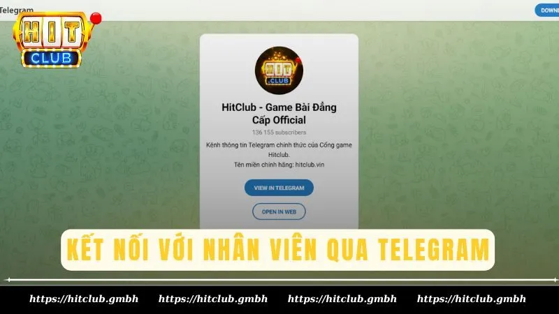 Kết nối với nhân viên qua Telegram